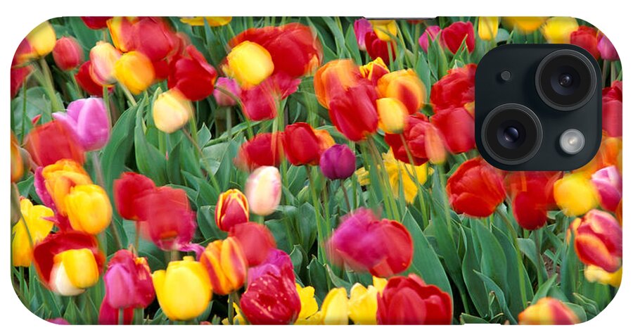 Angel iPhone Case featuring the photograph Field Of Tulips #1 by Greg Vaughn - Printscapes