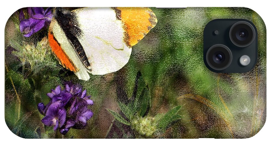Butterfly iPhone Case featuring the photograph Field Trip 1 by Ed Hall