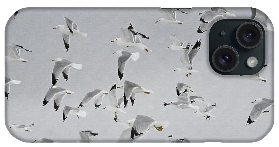 Flock Of Birds iPhone Case featuring the photograph Flock of Birds #1 by Andrea Kollo