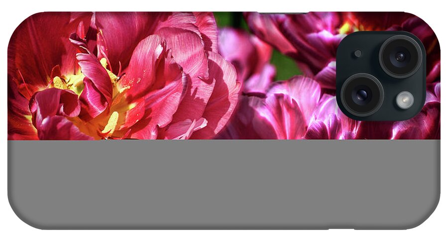 Flowers iPhone Case featuring the photograph Flowers and Fractals #1 by Cameron Wood