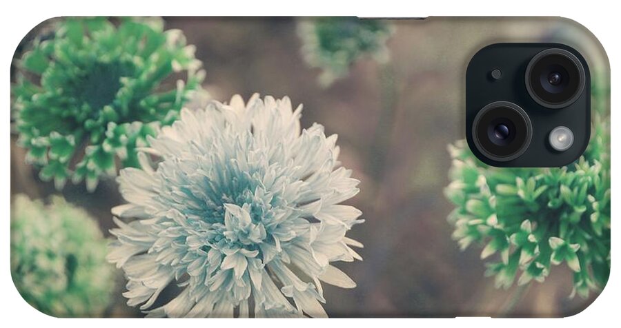  iPhone Case featuring the photograph Flowers in Paradise... #1 by The Art Of Marilyn Ridoutt-Greene