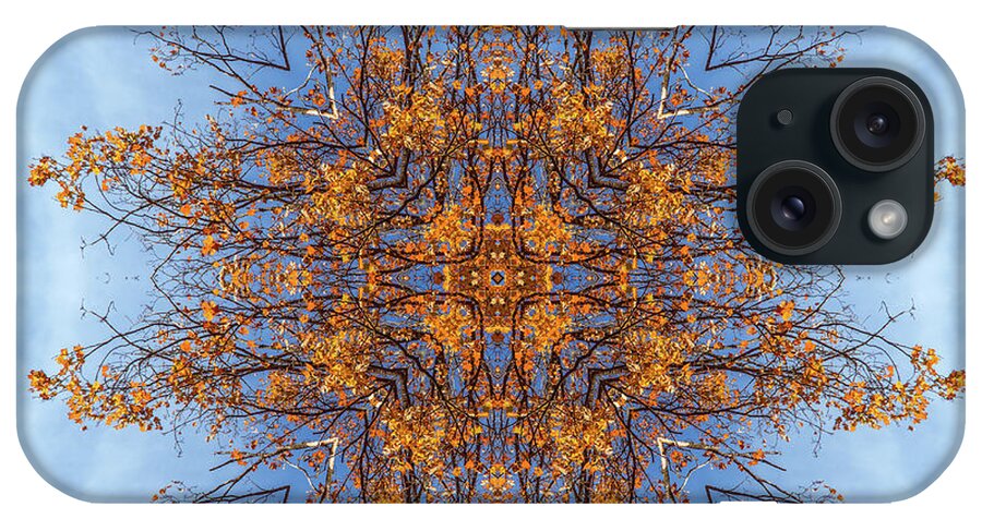 Foliage Kaleidoscope iPhone Case featuring the photograph Foliage and sky kaleidoscope #1 by Lilia S