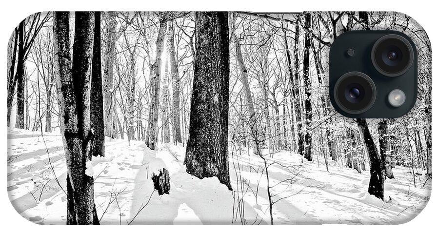 Forest iPhone Case featuring the digital art Forest Interior in Snow and Shadows Digital Illustration #1 by A Macarthur Gurmankin