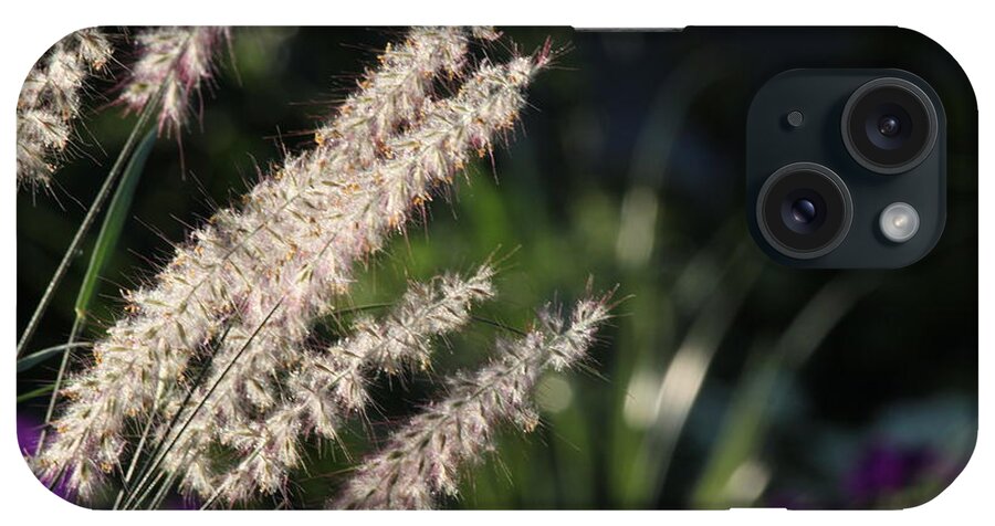 Plant iPhone Case featuring the photograph Foxtail #2 by Trent Mallett