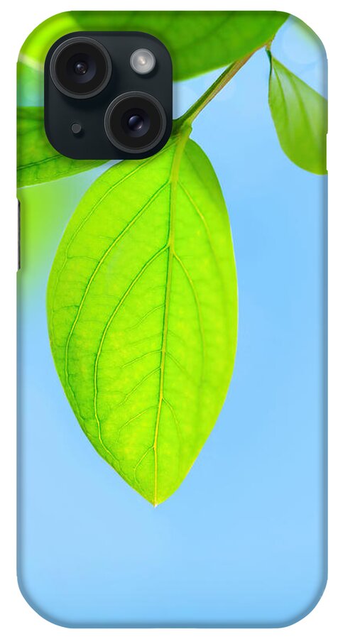 Abstract iPhone Case featuring the photograph Fresh green leaves #1 by Anna Om