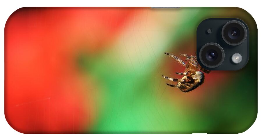 Orb Web iPhone Case featuring the photograph Garden Cross Spider #1 by Chris Day