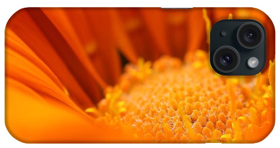 Mccombie iPhone Case featuring the photograph Gazania named New Day Clear Orange #3 by J McCombie