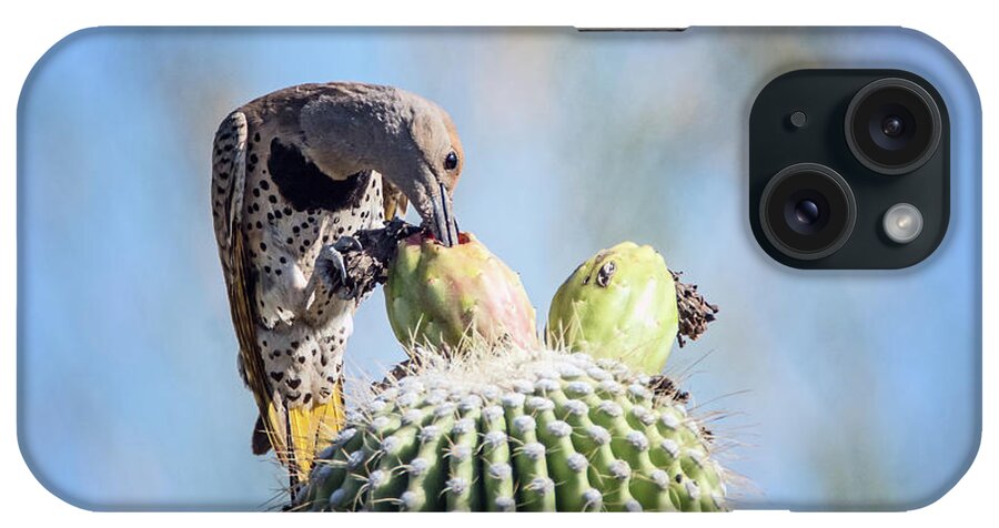 Gilded iPhone Case featuring the photograph Gilded Flicker 3387 #2 by Tam Ryan