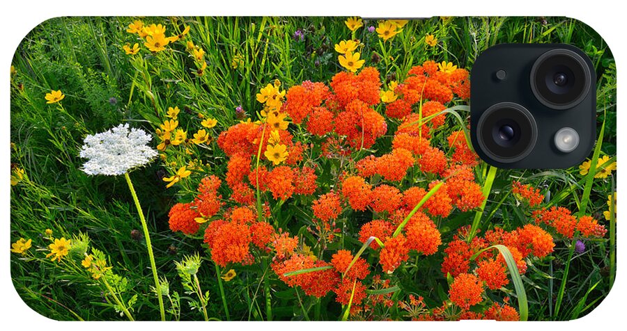 Butterfly Weed iPhone Case featuring the photograph Glacial Wildflowers #1 by Ray Mathis