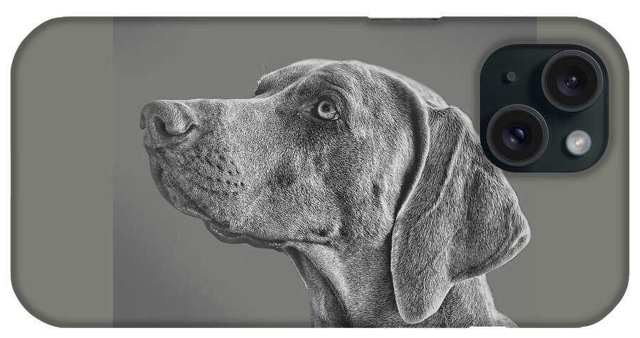 Weimaraner iPhone Case featuring the digital art Gray Ghost by Larry Linton
