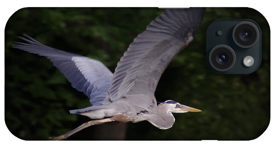 2d iPhone Case featuring the photograph Great Blue Heron In Flight #1 by Brian Wallace