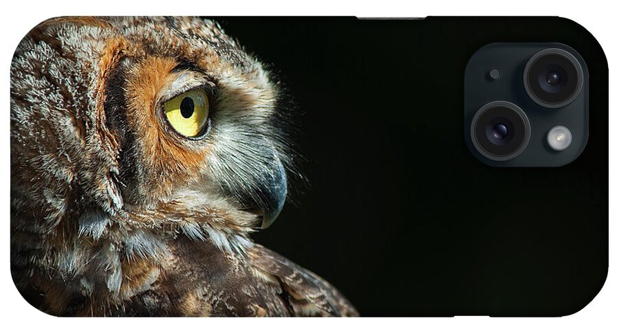 Owl iPhone Case featuring the photograph Great Horned Owl #2 by Pat Exum