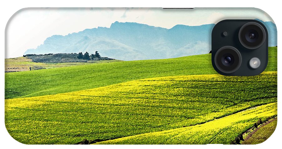 Green Hills Of Canola Fields iPhone Case featuring the painting Green Hills of canola fields #1 by Celestial Images