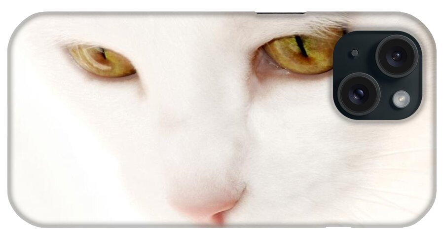 Cat Portraits iPhone Case featuring the photograph Heavenly Angel by Angie Tirado