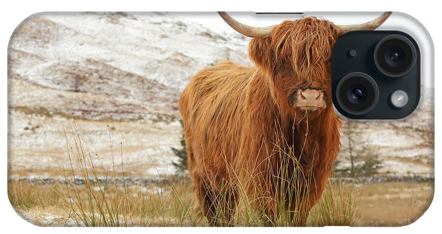#faatoppicks iPhone Case featuring the photograph Highland Cow by Grant Glendinning
