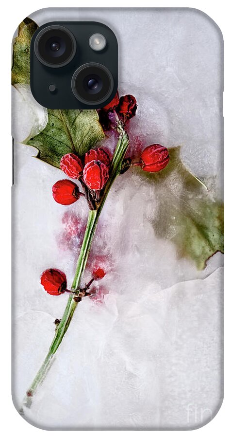 Holly iPhone Case featuring the photograph Holly 5 by Margie Hurwich