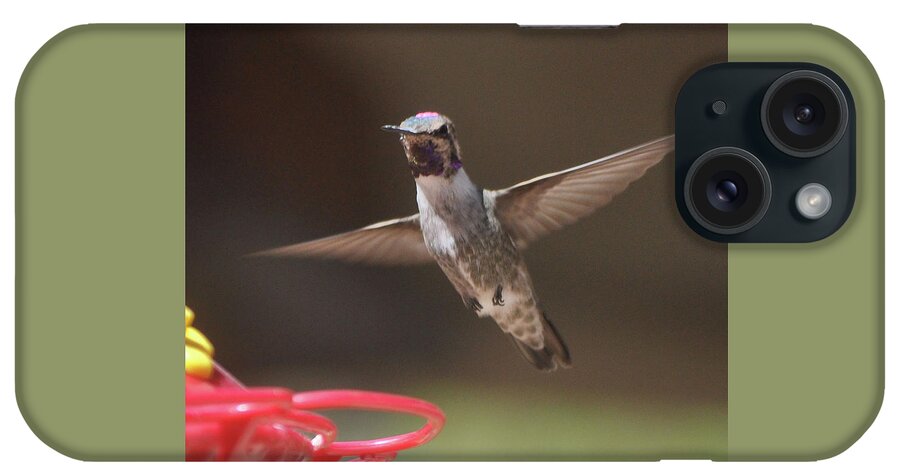 Hummingbirds iPhone Case featuring the photograph Hummingbird Anna's In Flight #1 by Jay Milo