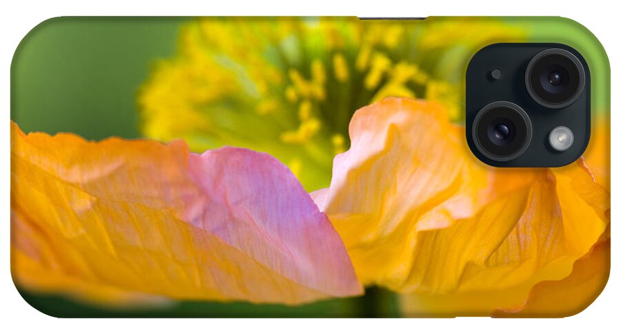 Flower iPhone Case featuring the photograph Iceland Poppy #1 by Silke Magino