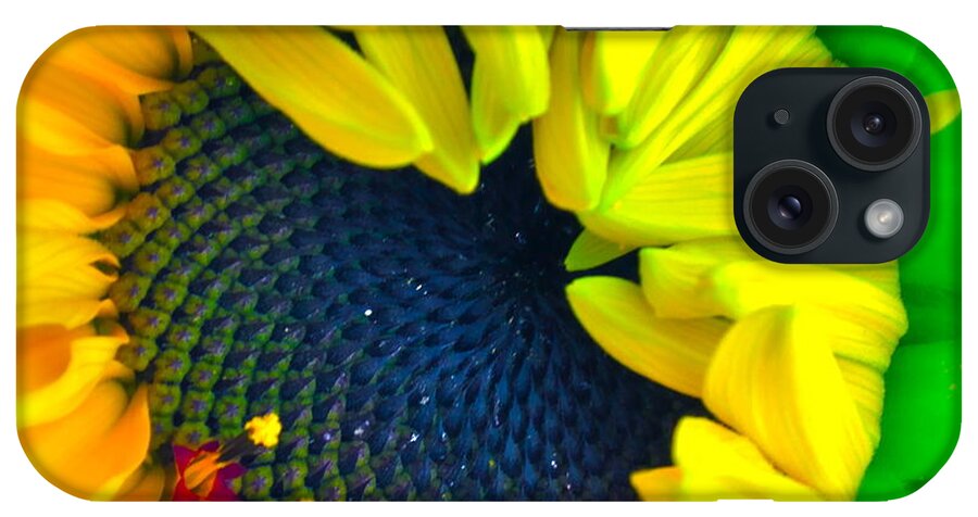 Photograph Of Sunflower iPhone Case featuring the photograph In the Beginning #1 by Gwyn Newcombe