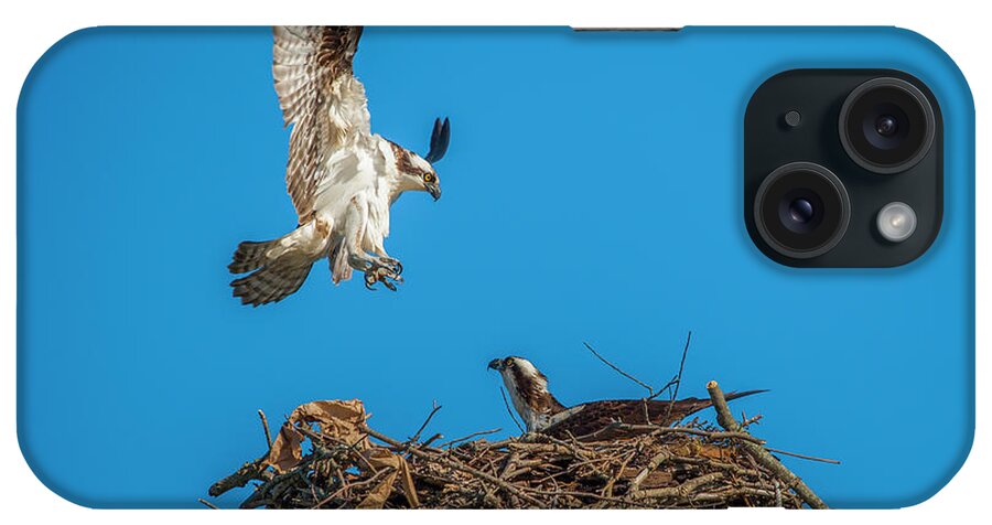 Raptor iPhone 15 Case featuring the photograph Incoming #1 by Cathy Kovarik