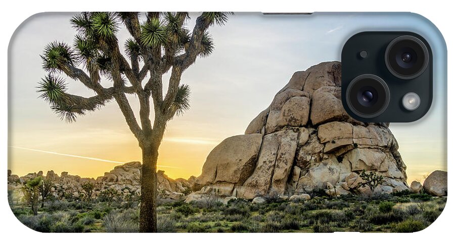 California iPhone Case featuring the photograph Joshua Tree at Sunset 2 #1 by Donald Pash