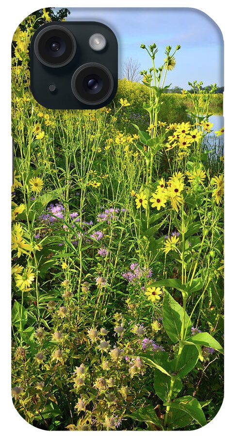 Sunflowers iPhone Case featuring the photograph Lakeside Wildflowers #1 by Ray Mathis