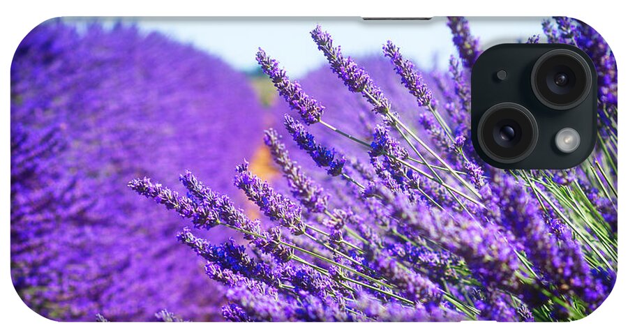 Lavender iPhone Case featuring the photograph Lavender Field by Anastasy Yarmolovich