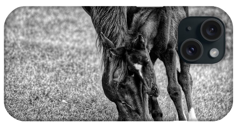 Horse iPhone Case featuring the photograph Lean on Me #1 by Joseph Caban