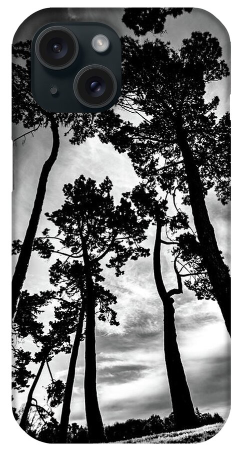 Tree iPhone Case featuring the photograph Leaning Trees #1 by Roseanne Jones