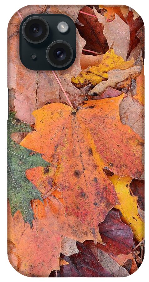 Abstract iPhone Case featuring the digital art Leaves On The Ground Three #1 by Lyle Crump