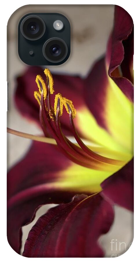 Floral Art iPhone Case featuring the photograph Lily #2 by Ella Kaye Dickey
