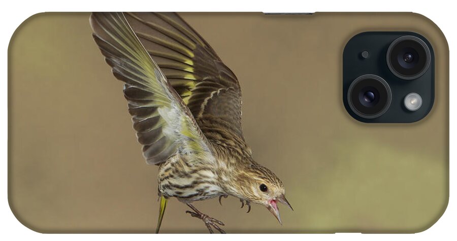 Nature iPhone Case featuring the photograph Little Bird Complex #1 by Gerry Sibell