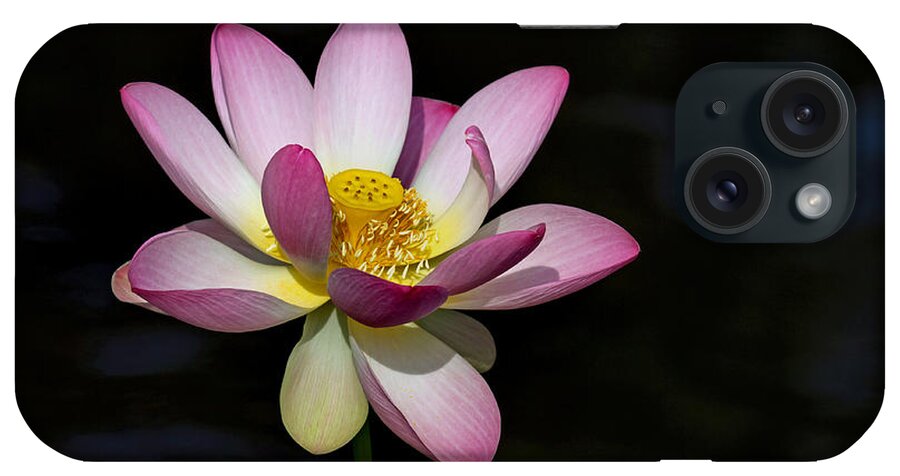Lotus iPhone Case featuring the photograph Lotus Bloom #1 by Jerry Gammon