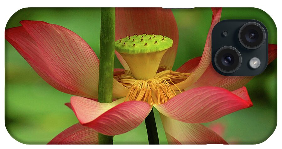 Lotus iPhone Case featuring the photograph Lotus Flower #1 by Harry Spitz