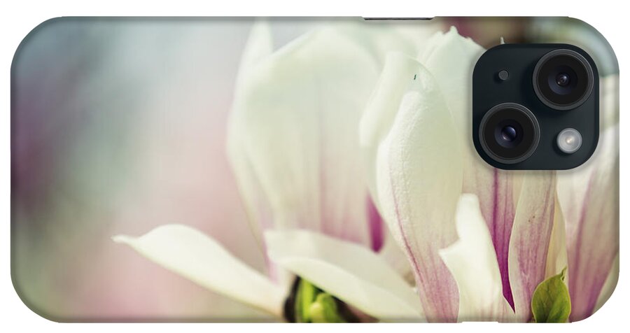 Magnolia iPhone Case featuring the photograph Magnolia #1 by Nailia Schwarz