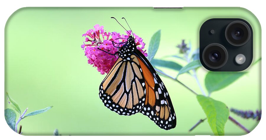 Monarch Butterfly On Butterfly Bush iPhone Case featuring the photograph Monarch Butterfly #1 by PJQandFriends Photography