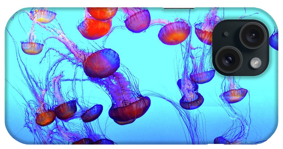 Monterey Bay Jellyfish iPhone Case featuring the photograph Monterey Bay Jellyfish #2 by Barbara Snyder