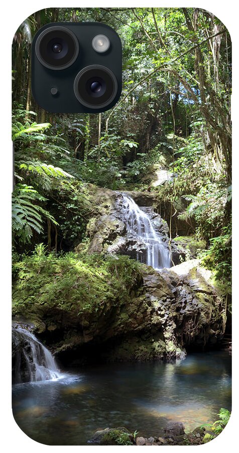 Waterfalls iPhone Case featuring the photograph Onomea Waterfalls #2 by Susan Rissi Tregoning