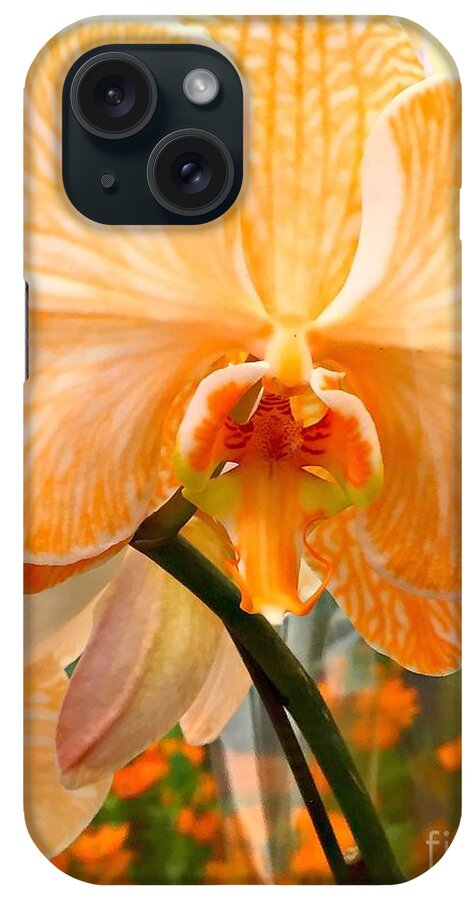Orchid iPhone Case featuring the photograph Orange Delight #1 by Nona Kumah
