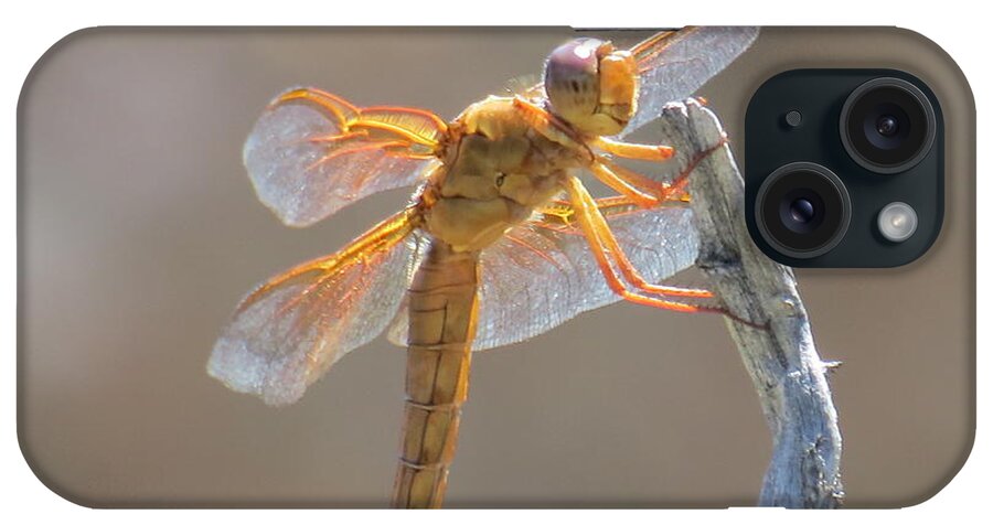 Orange iPhone 15 Case featuring the photograph Dragonfly 5 by Christy Garavetto