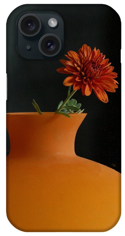 Orange iPhone Case featuring the photograph Orange #1 by Thomas Pipia