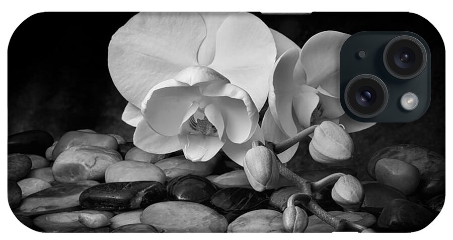 Arrangement iPhone Case featuring the photograph Orchid - Sensuous Virtue #1 by Tom Mc Nemar