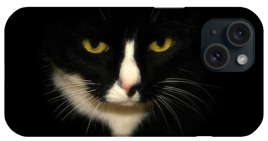 Cat iPhone Case featuring the photograph Oreo by Angie Tirado