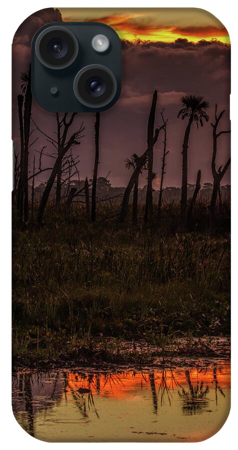 Sunrise iPhone Case featuring the photograph Orlando Wetlands Sunrise #1 by Dorothy Cunningham