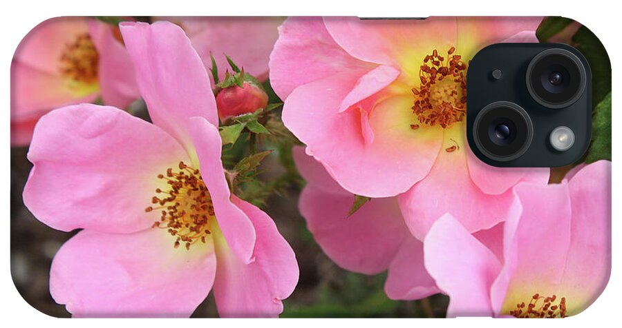 Rose iPhone Case featuring the photograph Pink Knockout Roses #1 by Ellen Tully