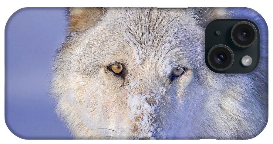 Wolf iPhone Case featuring the photograph Portrait of the White Wolf 540F by Mark Miller