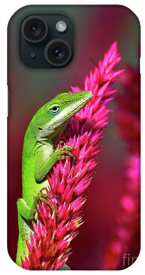 Reptiles iPhone Case featuring the photograph Pretty In Pink #1 by Kathy Baccari