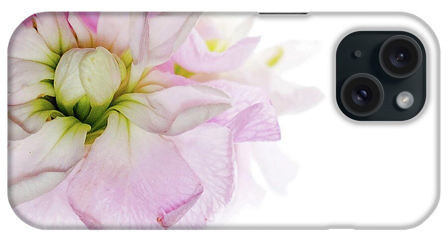 Pink iPhone Case featuring the photograph Pretty in Pink #1 by Rebecca Cozart