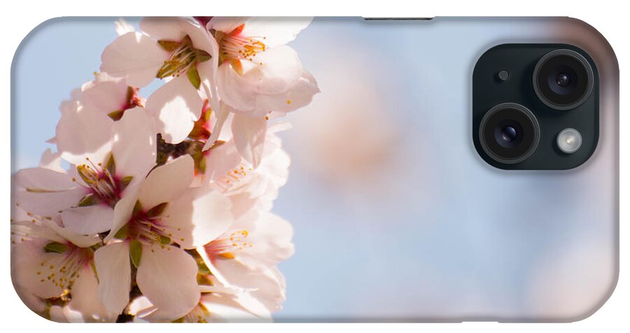 Flowers iPhone Case featuring the photograph Pretty in Pink #1 by Wendy Carrington