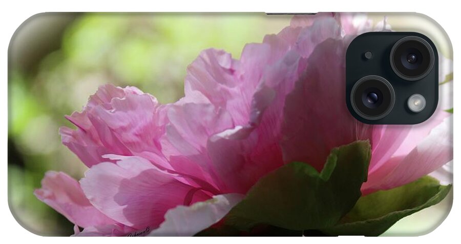 Tree Peony iPhone Case featuring the photograph Pretty in Pink #1 by Yumi Johnson